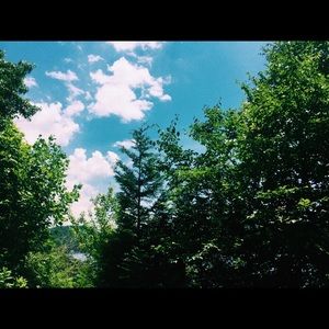 Meet your Posher, Loretta